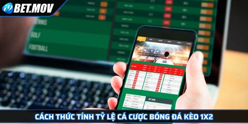 Cách Tính Tỷ Lệ Cá Cược Bóng Đá Chuẩn Xác Cho Các Bet Thủ 3 Cách thức tính tỷ lệ cá cược bóng đá kèo 1X2