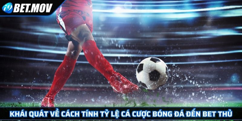 Cách Tính Tỷ Lệ Cá Cược Bóng Đá Chuẩn Xác Cho Các Bet Thủ 2 Khái quát về cách tính tỷ lệ cá cược bóng đá đến bet thủ