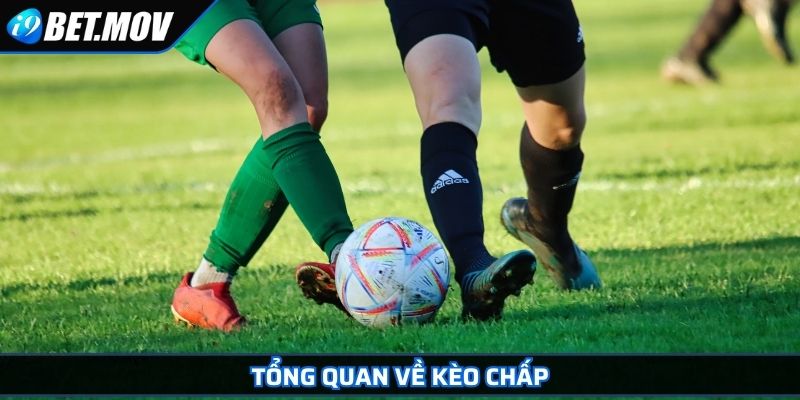 Kèo Chấp - Các Loại Cược Phổ Biến Và Kinh Nghiệm Chơi 2 Tổng quan về kèo chấp