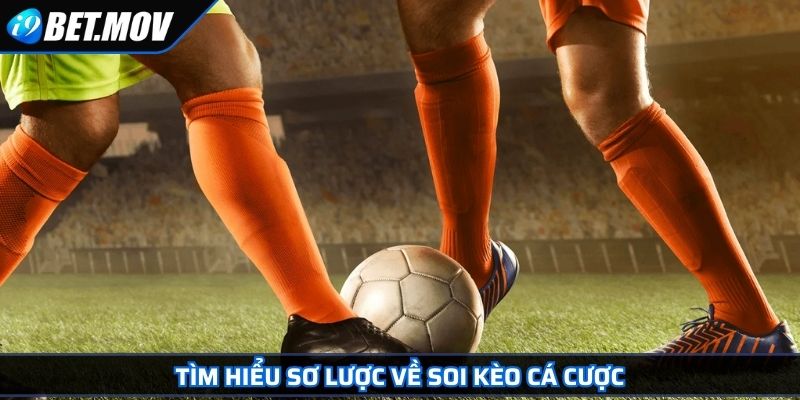 Tìm hiểu sơ lược về soi kèo cá cược