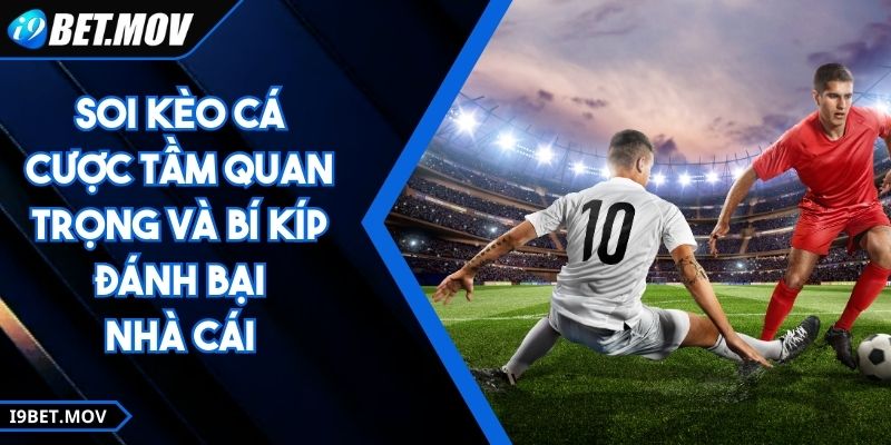 Soi Kèo Cá Cược Tầm Quan Trọng Và Bí Kíp Đánh Bại Nhà Cái